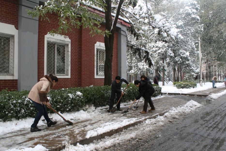 后勤集团开展除雪行动