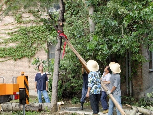 激情永驻战酷暑 奋力拼搏续辉煌——后勤集团2011年暑期工作报道